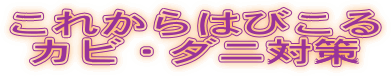 ���ꂩ��͂т���_�j�E�J�r�΍�