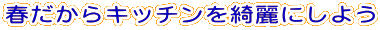 �t������L�b�`�����Y��ɂ��悤