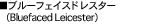 �u���[�t�F�C�X���X�^�[