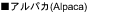 �A���p�J