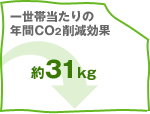 �ꐢ�ѓ�����̔N��CO2�팸���ʁ���31kg