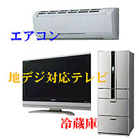 �G�R�|�C���g�Ώۏ��i